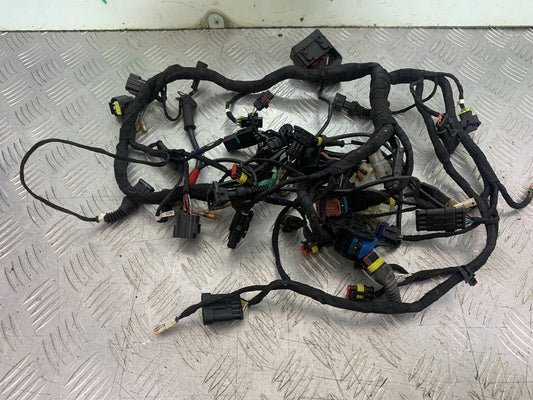 DUCATI 1198 S WIRING LOOM YEAR 2009-2011 (CMB1219)