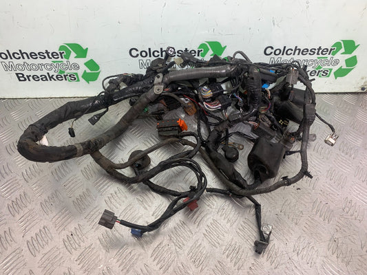 KAWASAKI GTR1400 GTR 1400 WIRING LOOM YEAR 2007-2009 (CMB1306)