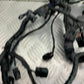 TRIUMPH 675 STREET TRIPLE RX WIRING LOOM  2015- 2017 (CMB1299)