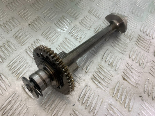 TRIUMPH 1050 SPRINT GT BALANCE SHAFT   YEAR 2010-2016 (CMB1250)