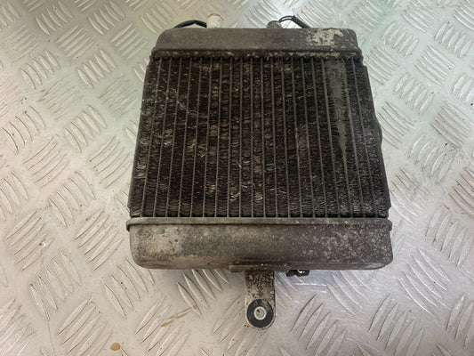 SUZUKI AN 200 UN 200 BURGMAN RADIATOR  YEAR 2007-09 (CMB1128)