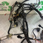 SUZUKI AN 200 UN 200 BURGMAN WIRING LOOM  YEAR 2007-09 (CMB1128)