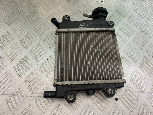 YAMAHA NMAX-125 N MAX 125 RADIATOR YEAR 2015-2020  (CMB1231)