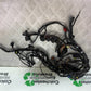 TRIUMPH SPEED TRIPLE R 1050 WIRING LOOM 2009 (CMB1183)