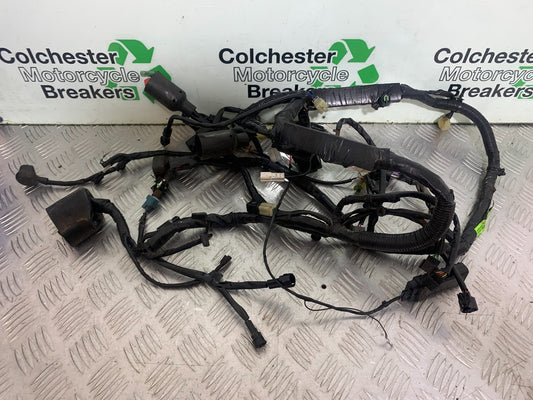 KAWASAKI Z125 Z 125 WIRING LOOM   YEAR  2018-2023 (CMB1167)