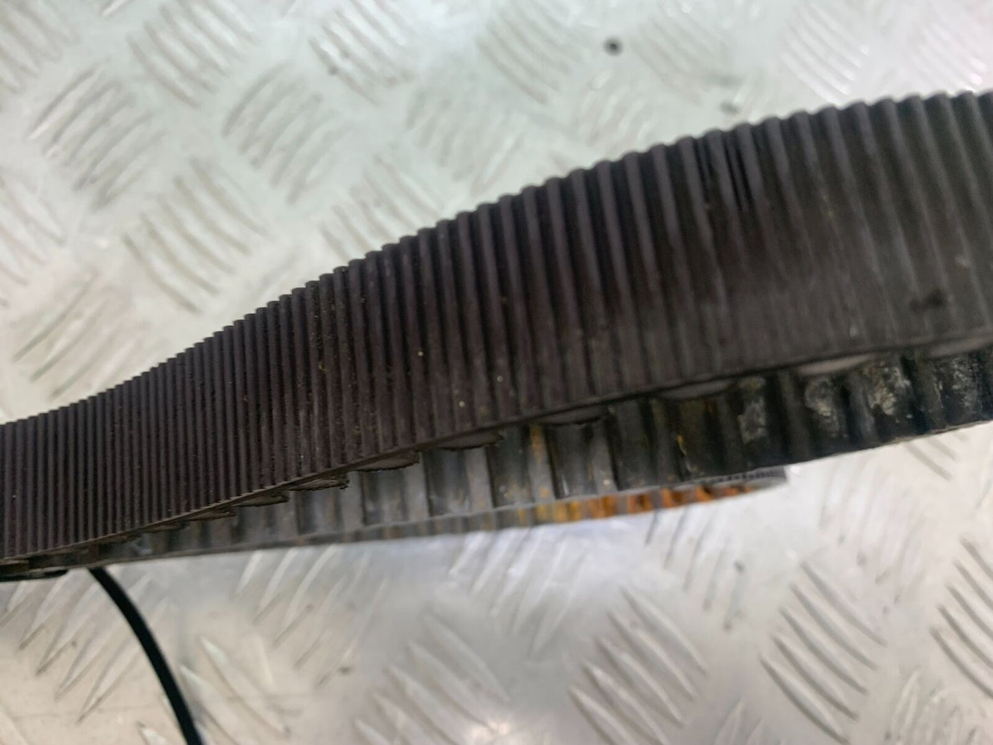 HARLEY DAVIDSON XL883 N IROD DRIVE BELT  YEAR 2020  (CMB1116)