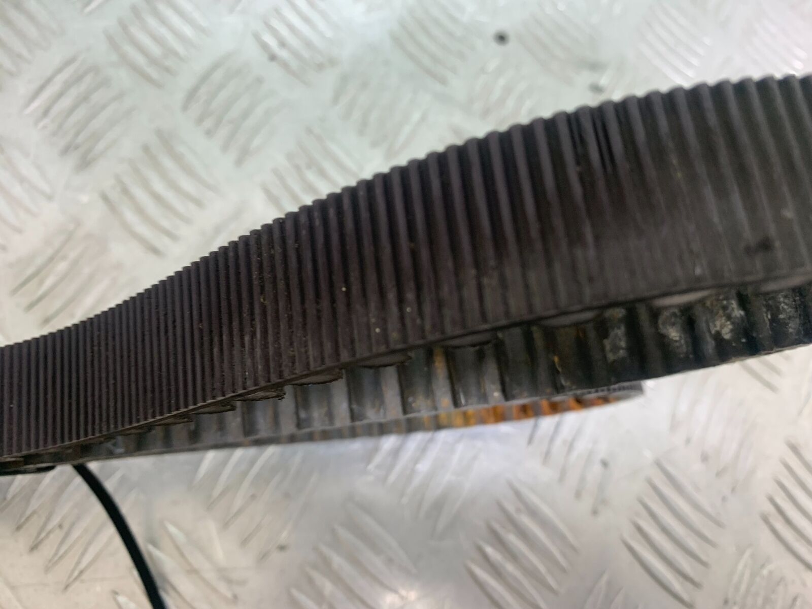 HARLEY DAVIDSON XL883 N IROD DRIVE BELT  YEAR 2020  (CMB1116)