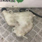 APRILIA RSV1000 RSV 1000 MILLE COOLANT BOTTLE  YEAR 2007