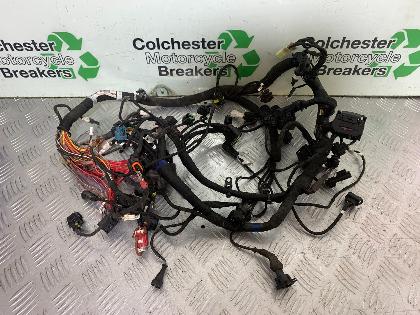 DUCATI 937 MONSTER WIRING LOOM   YEAR 2021-2024 (CMB1270)