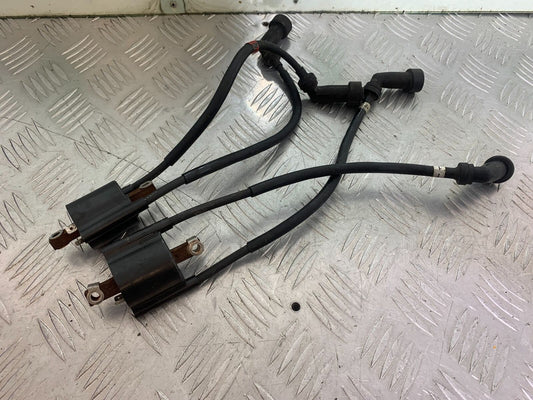 YAMAHA XJR1300 XJR 1300 COILS AND CAPS   YEAR  1999-2003 (CMB1119)