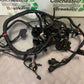 TRIUMPH TIGER 800 XCX WIRING LOOM   YEAR 2015-2017  (STOCK 966)