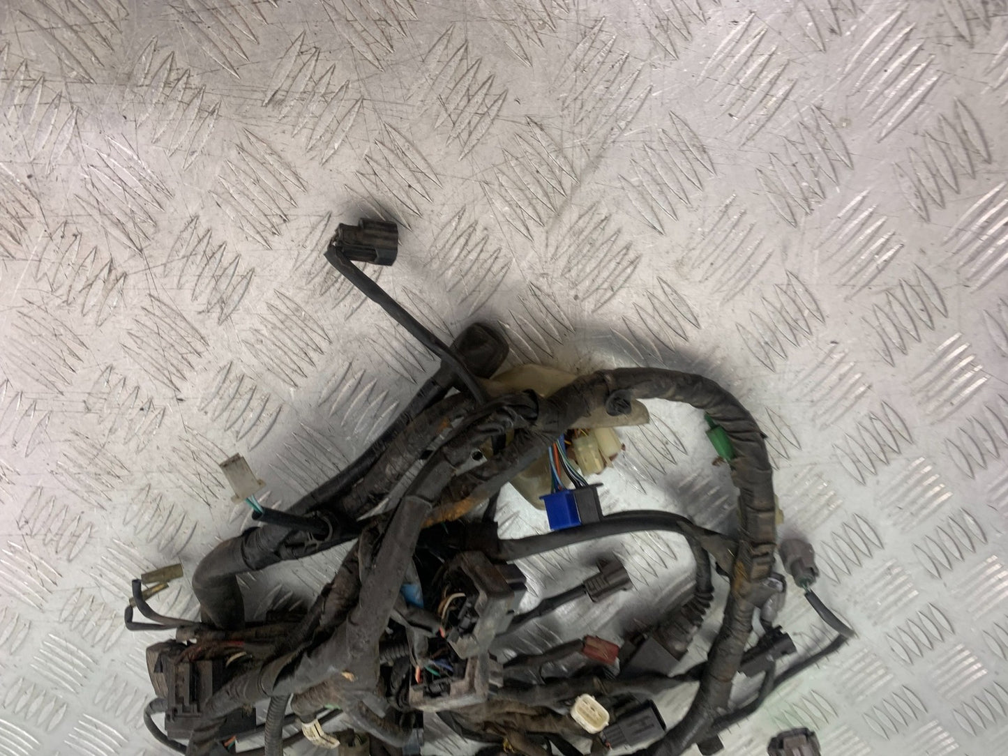 HONDA CBF600 CBF 600 WIRING LOOM YEAR 2004-07  (CMB1305)