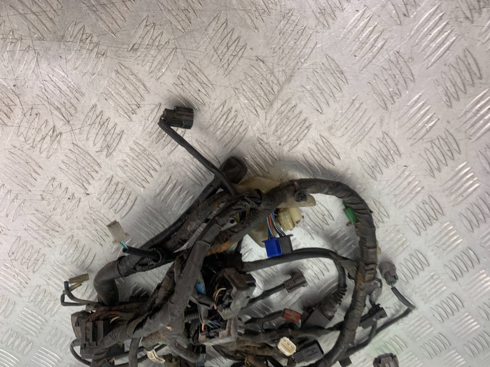 HONDA CBF600 CBF 600 WIRING LOOM YEAR 2004-07  (CMB1305)