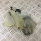 KAWASAKI ZX6R COOLANT BOTTLE  YEAR 2009-2012  (STOCK 626)
