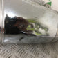 BMW R1250 R 1250 RT SILENCER YEAR 2023 (STOCK 907)