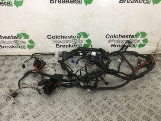 PEUGEOT GEOPOLIS 125 WIRING LOOM   YEAR 2011  (STOCK 887)