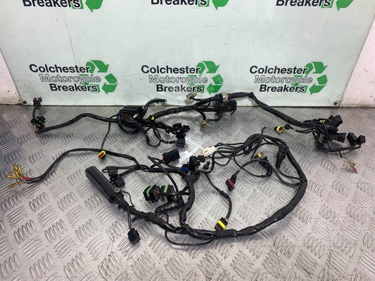 DUCATI 996 SPS 748 916 998 WIRING LOOM  1999-2000 (CMB1209)