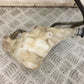TRIUMPH 900 STREET SCRAMBLER COOLANT BOTTLE   YEAR 2018 (STOCK 896)