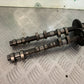TRIUMPH 885 TIGER CAMSHAFTS  YEAR 2000