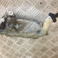 HONDA CB1 CB-1 CB 1 400 COOLANT BOTTLE  YEAR 1989-1990 (STOCK 739)