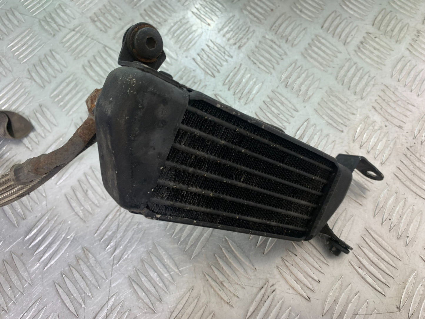 TRIUMPH T509 SPEED TRIPLE OIL COOLER AND LINES   YEAR 1997-1998 (CMB1144)