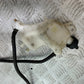 HONDA NC700 X COOOLANT BOTTLE YEAR 2012-2014 (CMB1327)
