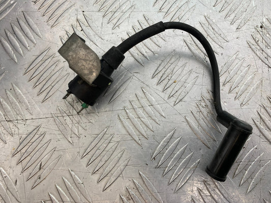 PIAGGIO VESPA GT125 L COIL AND CAP  YEAR 2003 (CMB1300)