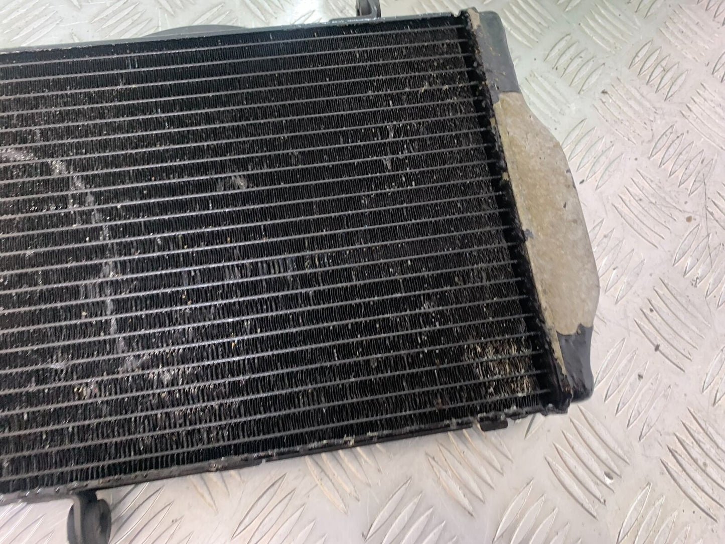 HONDA CBR1100 BLACKBIRD RADIATOR  YEAR 1999-2005 (CMB1103)