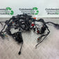 HONDA CB650 F CB 650 FA-H WIRING LOOM YEAR 2017- 2019 (CMB1087)
