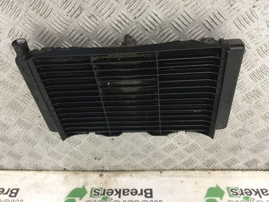HONDA CB600 CB 600 F-9 HORNET RADIATOR  2009 (STOCK 869)