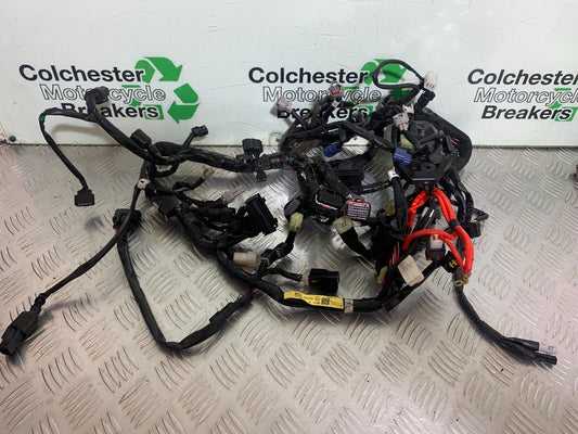 YAMAHA XSR900 XSR 900 WIRING LOOM  YEAR 2021-2022 (CMB1073)
