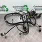 SUZUKI AN 200 UH 200 WIRING LOOM YEAR 2007-2009 (CMB1256)