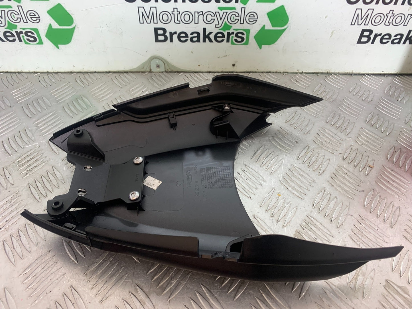 TRIUMPH TRIDENT 660 TAIL PIECE YEAR 2021-2024 (CMB1148)