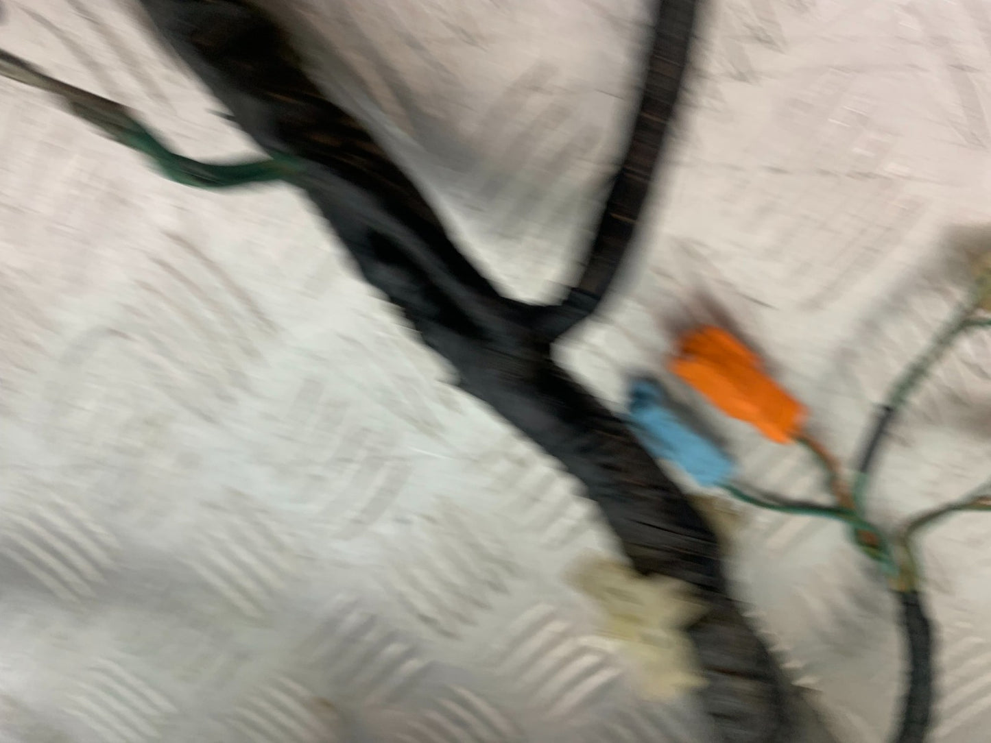 HONDA CBR600 CBR 600 FX FY WIRING LOOM   YEAR 1999-2000 (CMB1287)