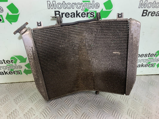 KAWASAKI GTR1400 GTR 1400 RADIATOR YEAR 2007-2009 (CMB1306)