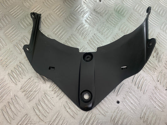 DUCATI 1299 PANIGALE LOWER TOP FAIRING INFILL PANEL  YEAR 2016 (CMB 1187)