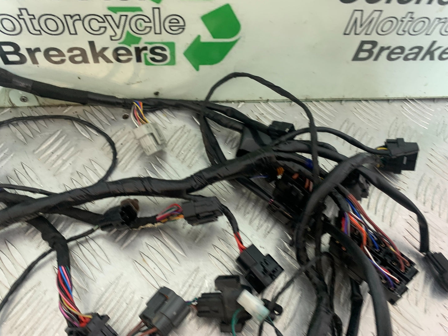 TRIUMPH TRIDENT 660 WIRING LOOM  YEAR 2021-2024 (CMB1148)