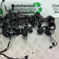 TRIUMPH 675 STREET TRIPLE RX WIRING LOOM  2015- 2017 (CMB1299)