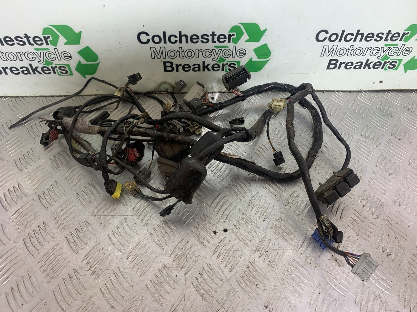 HONDA CBR600 CBR 600 RR WIRING LOOM   YEAR 2003-2004 CMB1173)