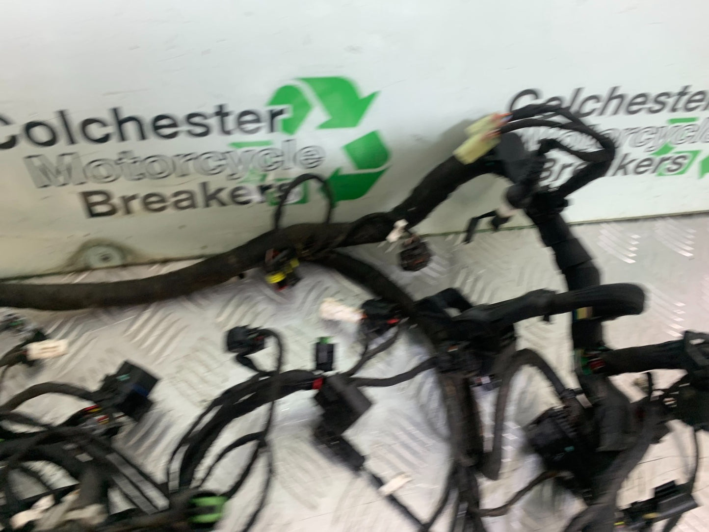 DUCATI 937 MONSTER WIRING LOOM   YEAR 2021-2024 (CMB1270)