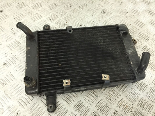SUZUKI AN 250 BURGMAN RADIATOR  YEAR 1999  (STOCK 881)