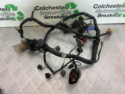 HONDA CBR1100 BLACKBIRD WIRING LOOM  YEAR 1999-2005  (CMB1103)
