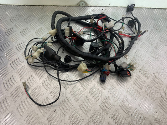 NECO ALEXONE 125 WIRING LOOM YEAR 2016-2022  (CMB1273)
