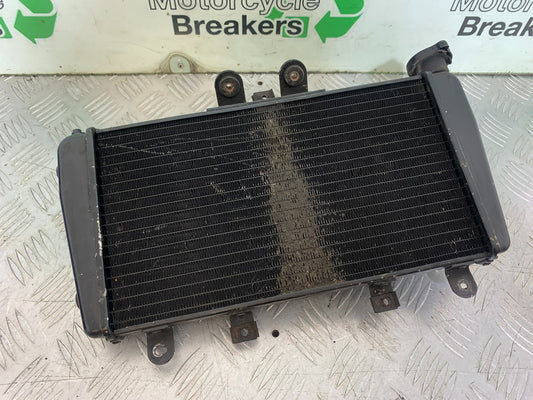 TRIUMPH SPEED TRIPLE R 1050 RADIATOR   2009 (CMB1183)