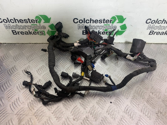 ROYAL ENFIELD HIMALAYAN 411 WIRING LOOM YEAR 2018-2023 (CMB1322)