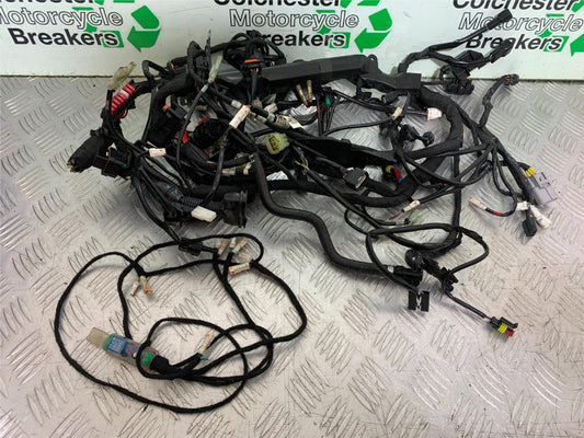 KTM 1290 SUPER DUKE R WIRING LOOM   YEAR 2020-2024 (CMB1272)