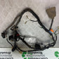 HONDA CBR600 CBR 600 FX FY WIRING LOOM   YEAR 1999-2000 (CMB1287)