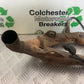HONDA CBR600 CBR 600 RR EXHAUST DOWNPIPES  YEAR 2003-2004 CMB1173)