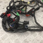 HONDA CB600 CB 600 F-9 HORNET WIRING LOOM  2009 (STOCK 869)