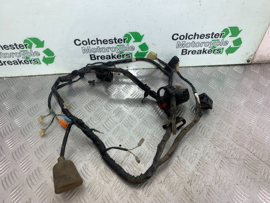HONDA CBR600 CBR 600 FX FY WIRING LOOM   YEAR 1999-2000 (CMB1287)